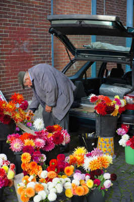 le vieux fleuriste