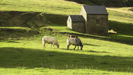 La petite maison ...
