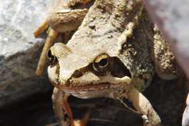 je vous ai à l'oeil sur fotoloco