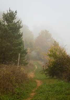 Le chemin de Florac 3