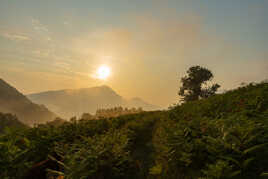 brouillard du matin !!