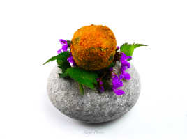 Croquette de pommes de terre et ail des ours