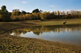 Reflets d'automne