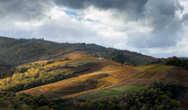 Beaujolais automnal