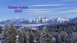Vœux 2018