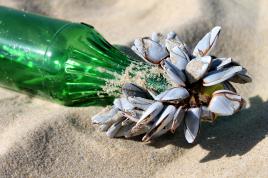 Une bouteille à la mer