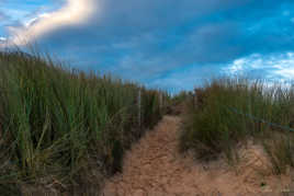 Chemin de la liberté