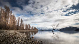 Roy Bay Wanaka NZ