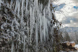 Un peut de glace ?