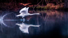 Coordination, équilibre et puissance ...