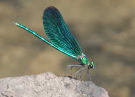 je prend 5 mn de pause