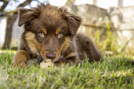 Uggi...et SON bâton!