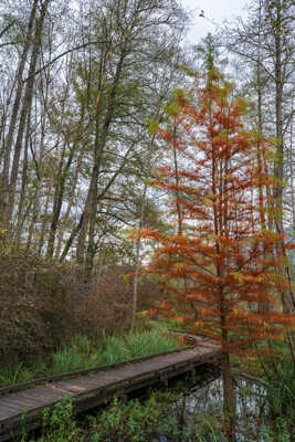 Automne en Savoie