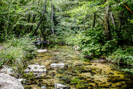 Rivière très calme
