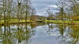 Etang de Chéméré