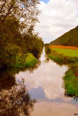 Couleurs d'été