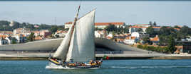 Voile Portugaise