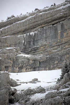 îl surveille son royaume