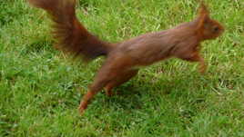 Bye, j'ai rendez-vous