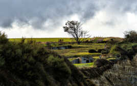 Terrasses ensoleillées