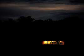 Activités nocturnes