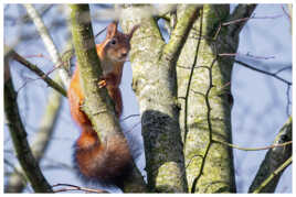 Un regard parfait pour le photographe !