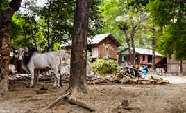 Yandabo, village birman