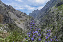 Parc National de los Picos de Europa
