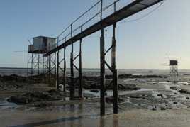 Perspective de pêcheries