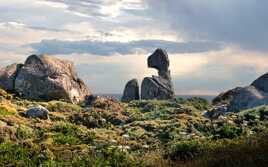Statue de granit !