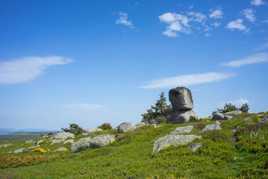 Paysage de Margeride I