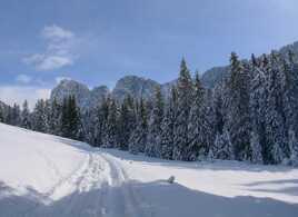 Le plus facile c'est tout droit