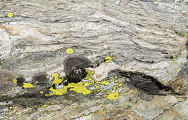 Illustration minérale