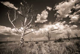 apres le feu la pluie arrive