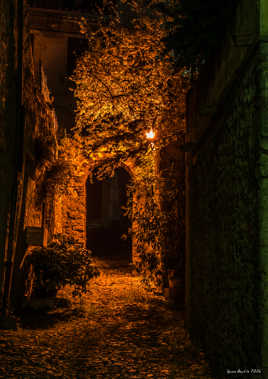 Ruelle de nuit