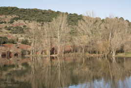 Sur les bord du lac