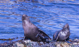 On se fait la tronche ou on bronze ?