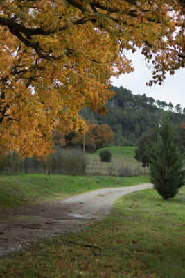 Journée automnale