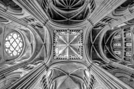 Cathédrale et poisson tête en l'air