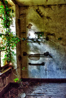 La Nature reprend ses droits