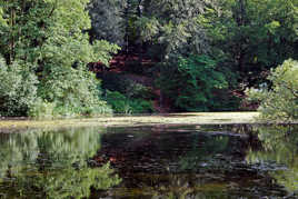 le parc de Séroule