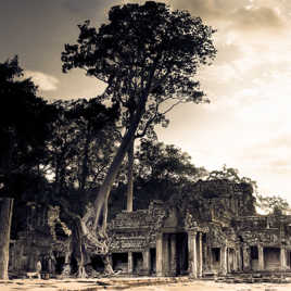 Ruines d'Angkor