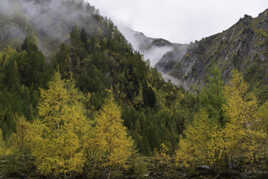 Symphonie de couleurs et de nuances...