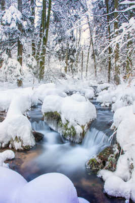 Le grand froid