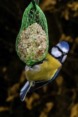 Qu'est ce qu'elle a ma gueule?