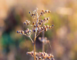 Couleurs d'hiver 2