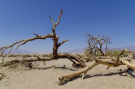 Death Valley 119°F