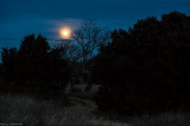 Lever de Lune en Provence