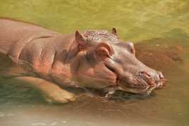 C'est dimanche on se repose :-))