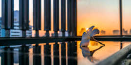 Fin de journée à Bangkok